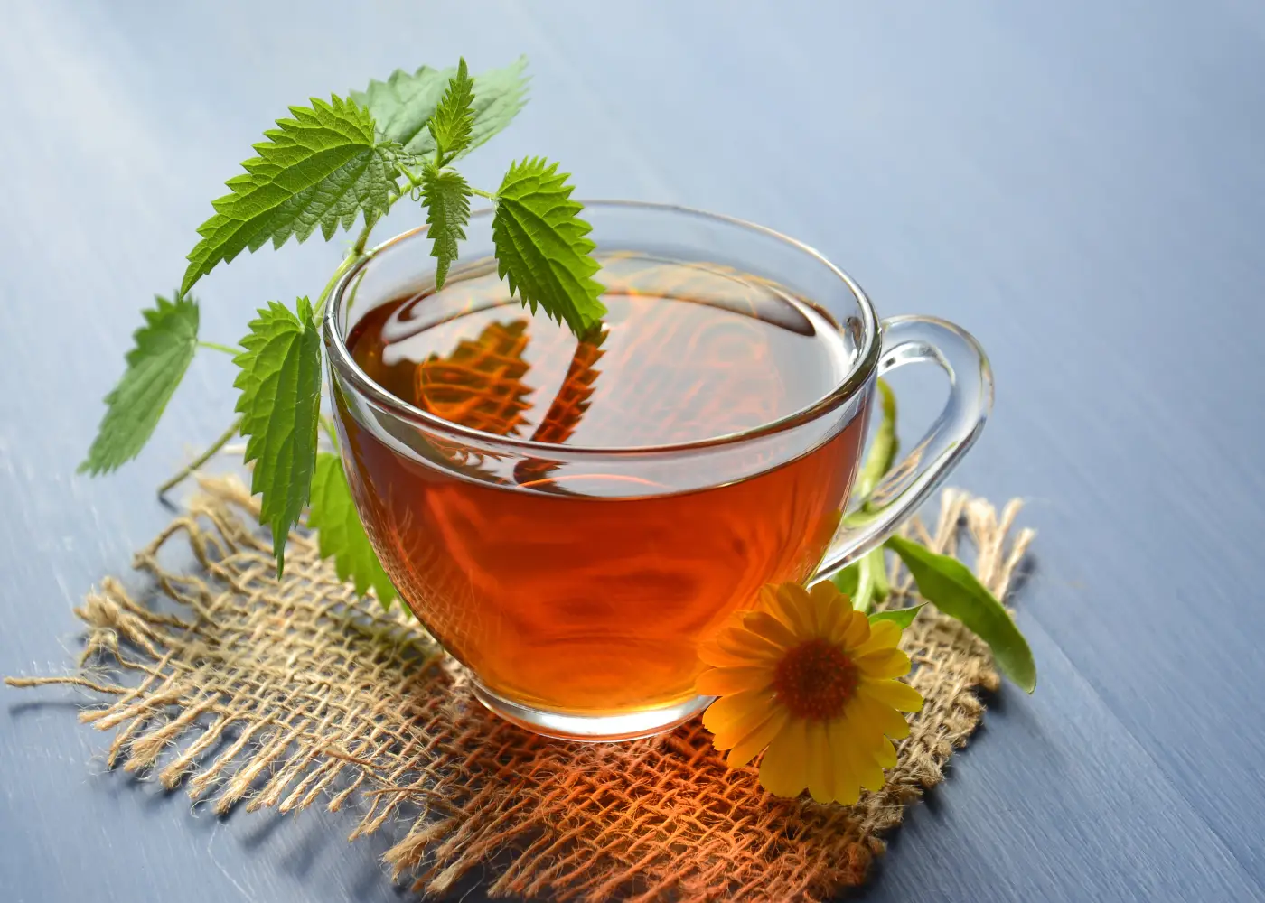 Best Essential Oils for Women’s Health